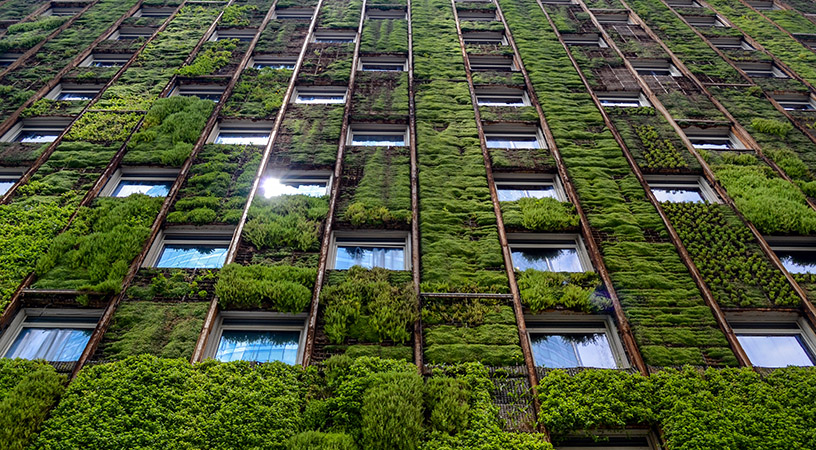 ESG: Sustentabilidade na área de tecnologia